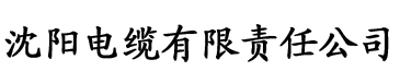 樱桃视频黄版app电缆厂logo